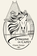 Elevage de Cob normand et hébergement de tourisme équestre